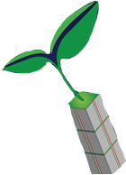 GreenCube Observer logo